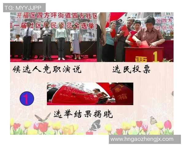 选举制度改革与民主发展路径探讨：从选民参与到选举透明度提升